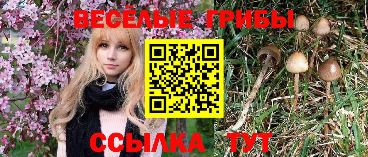 Галлюциногенные грибы мухоморы  Псилоцибиновые грибы прущие грибы  Вход с VPN  Ачинск 